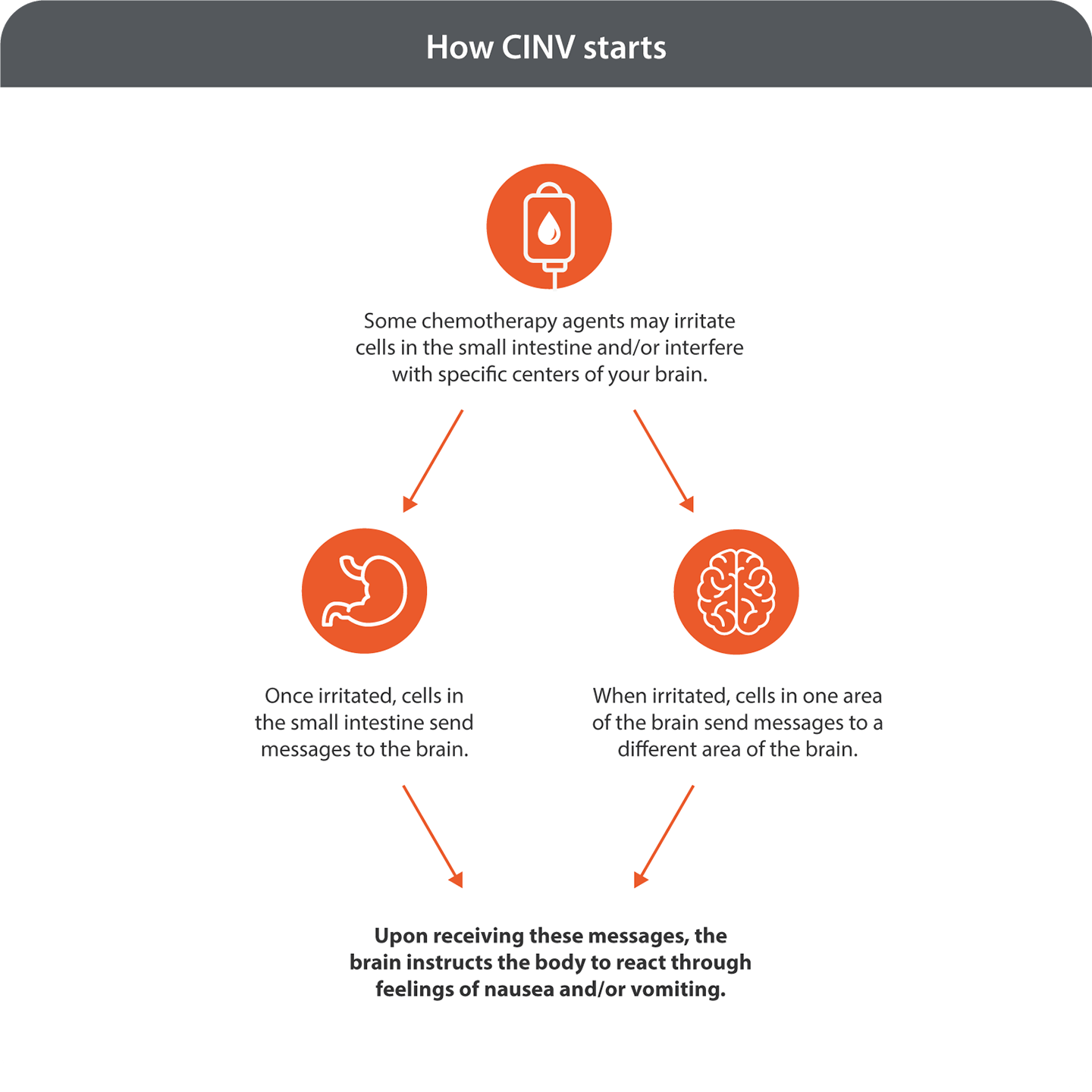 How chemotherapy-induced nausea and vomiting starts