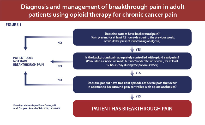 Figure 1: Flowchart showing the diagnosis of breakthrough pain in adult patients using opioid therapy for chronic pain